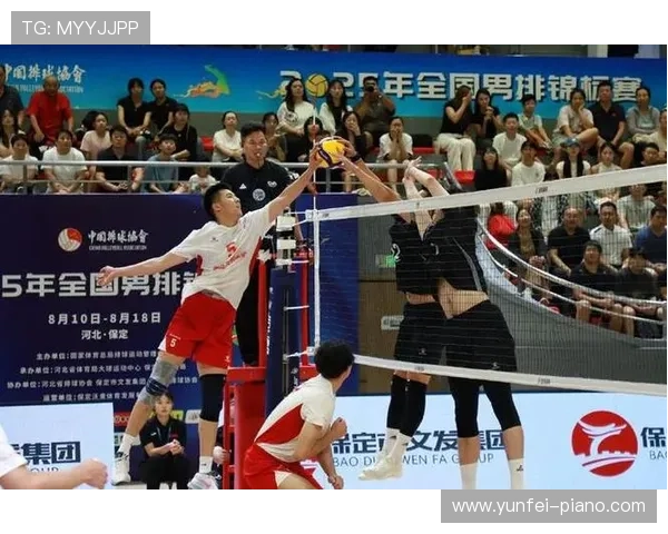 排球团队协作实力榜单揭晓北京排球队荣获第五名殊荣